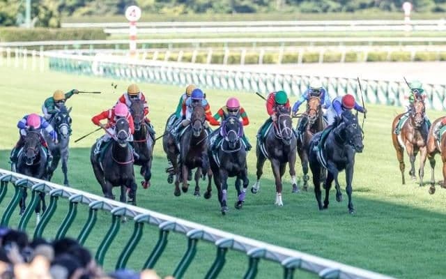 【アイビスSD予想】父サンデー系が22連敗!? 絶対に狙いたいのは“母の父サンデー系”