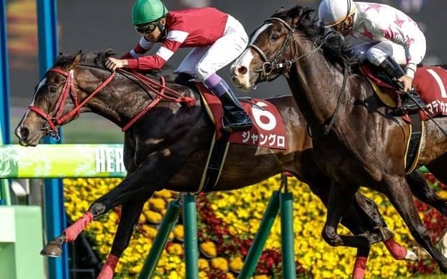 【アイビスSD予想】波乱は期待できない!? AIがチョイスしたのも上位人気の一頭