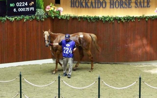 2日間で62億1137万円 過去最高の売上を記録したセレクションセール