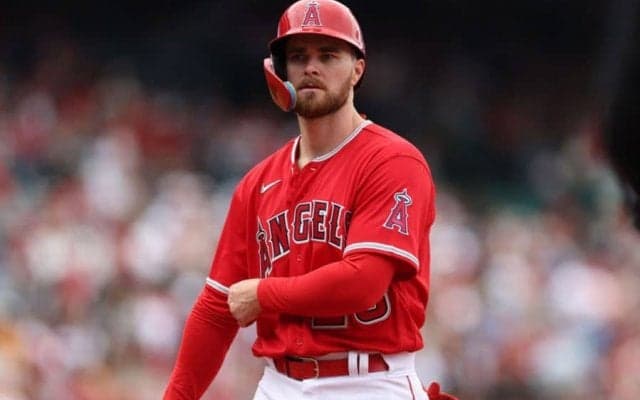 【MLB】エンゼルス、ウォルシュを事実上の戦力外に　打率.119＆1HRと不振…球団発表