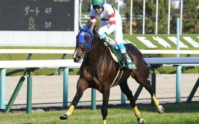【新潟ジャンプS枠順確定】ホッコーメヴィウスは4枠4番、フォッサマグナは3枠3番
