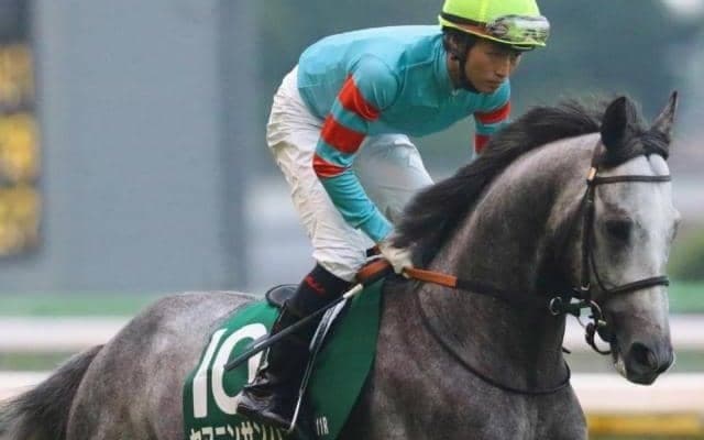 新潟外回りは決め手重視 ディープ産駒ヤマニンサンパの出番だ