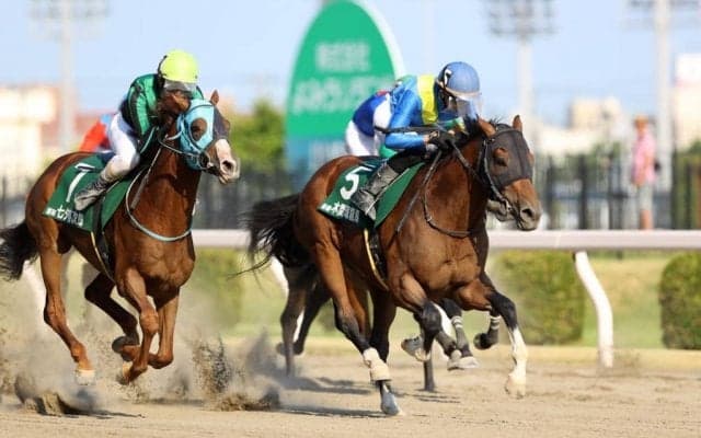 【ヤングジョッキーズTR川崎】東日本地区トライアルラウンド・JRA佐々木大輔騎手が暫定首位