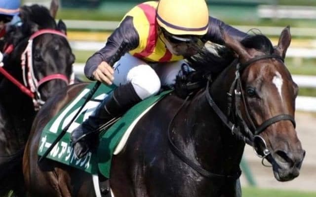 5連覇中の母父サンデー系 今年のアイビスSDは7頭の強力布陣