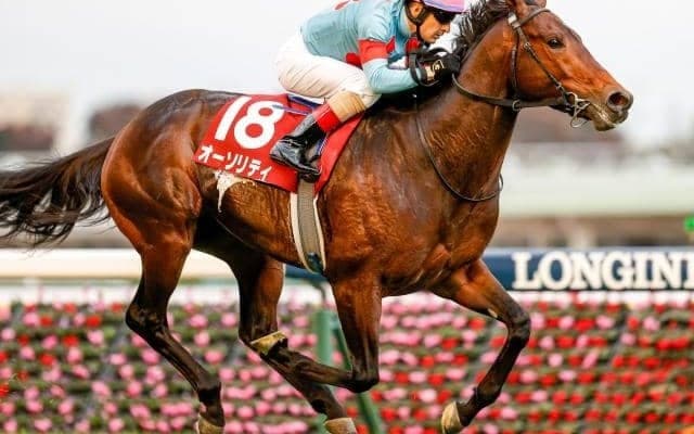 【エルムS想定馬・騎手】ダート初挑戦オーソリティ 重賞2勝ペイシャエスなど20頭