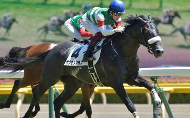 【新潟JS予想】最終障害からゴールまで300m 開幕週も差し馬の台頭に注意