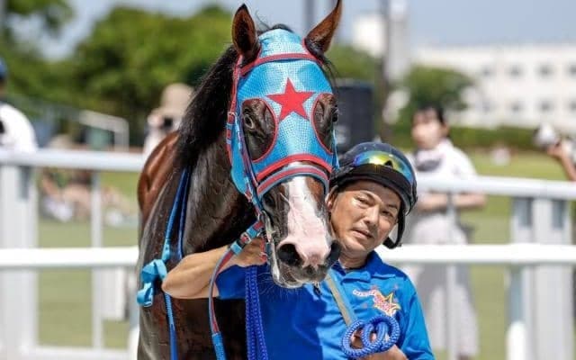 【新潟6R新馬戦結果】2番人気のウエスタンシーズンが逃げ切りV