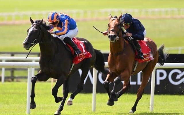 オーギュストロダンが弔いの勝利を挙げるか 父ディープの命日を前に再び快挙へ