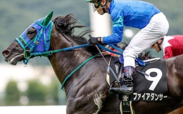 【今日の注目ポイント】新潟で千直の電撃戦アイビスSD、札幌ではクイーンS