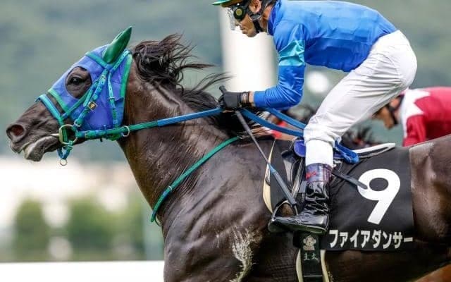 【アイビスSD予想】日本唯一の千直重賞 1番人気良績も枠順が勝負のカギ