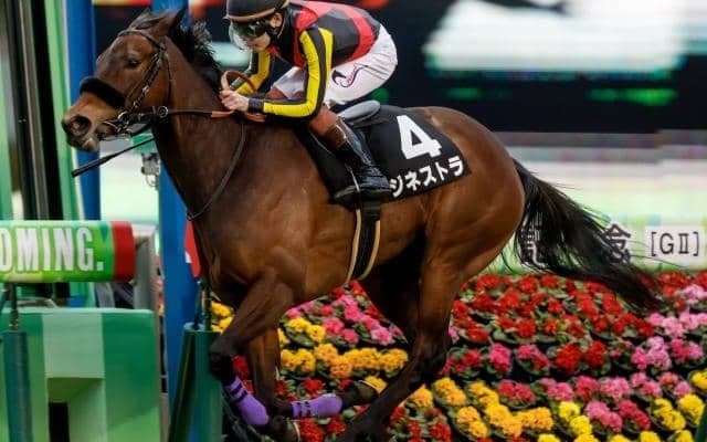 【クイーンS予想】秋の飛躍に向けて重要な一戦 実績馬を順当に評価