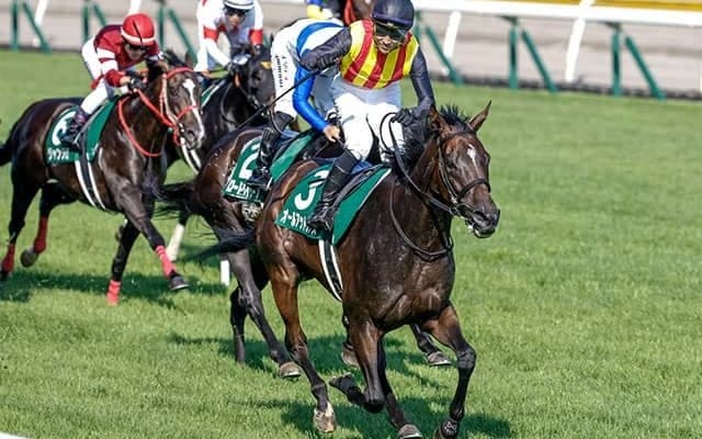 【アイビスSD結果】オールアットワンスが差し切って同レース2勝目！