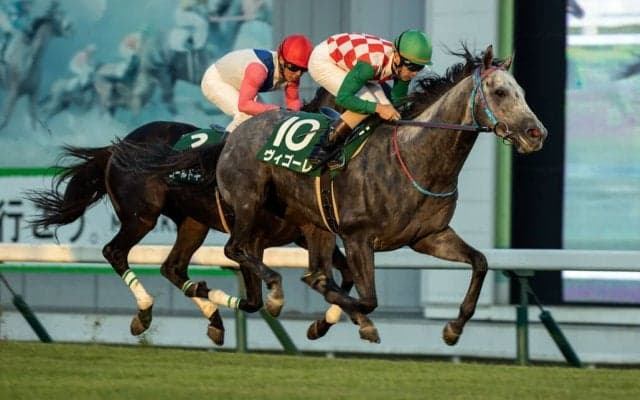 【盛岡・せきれい賞】大井所属ヴィゴーレが芝レースでV…矢野「馬の行く気に任せた」