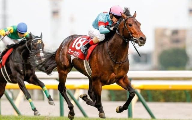 【エルムS見どころ】オーソリティが長期休養明けで初のダート出走