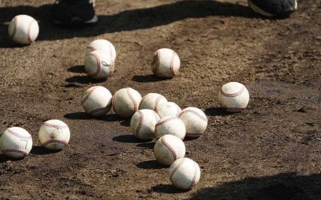 チェコの選手が来日か、NPBからも派遣へ　沖縄で実施「ウインターリーグ」が拡大