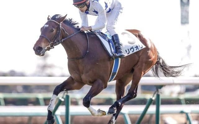 【先週のJRA抹消馬】ヒシイグアスの半妹リヴォリ、地方の名牝クラーべセクレタの仔クラーベドラドなど