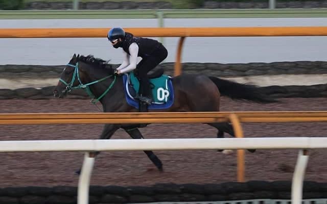 サリオスやサラキアの妹 良血サフィラが新潟で初陣/関西馬メイクデビュー情報