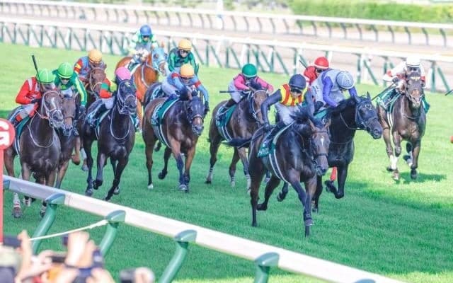 アイビスSDの“ジョッキーカメラ”に反響の声 「ジョッキー達は凄い世界で戦っているんだな」