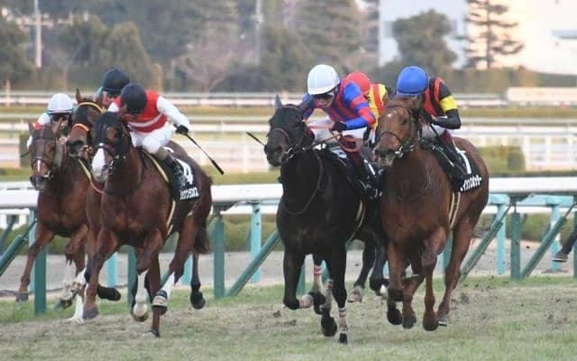 JRAの秋季競馬番組が発表 ファイナルSが中山競馬場での実施＆紫苑SのGII格上げなど