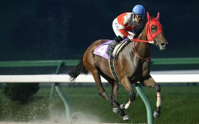 【盛岡・フェアリーC】ゴールデンヒーラーが9馬身差圧勝で復活…山本聡「ホッとしました」