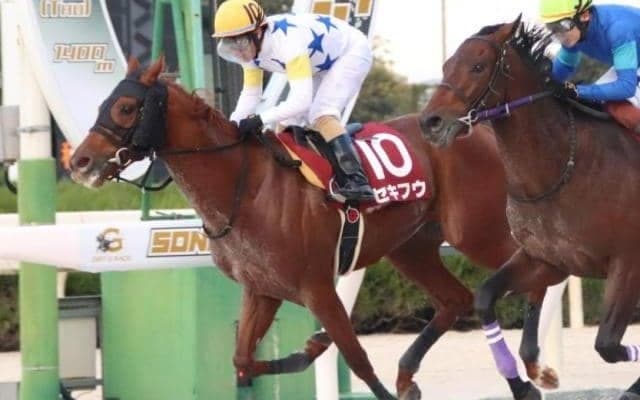 武豊騎手が26年ぶりエルムS制覇なるか 弟・幸四郎師の管理馬で参戦へ