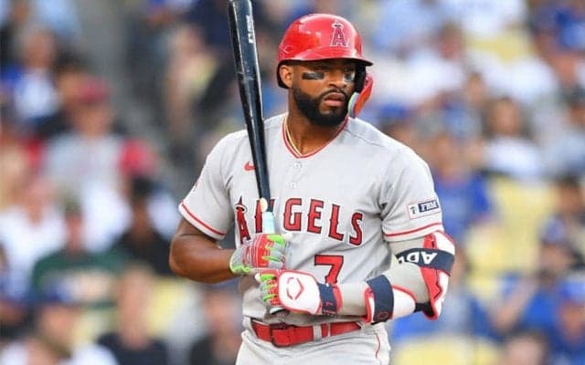 【MLB】エ軍アデルが長期離脱、60日間のIL入り　マイナーで23発も…7月に左脇腹を負傷