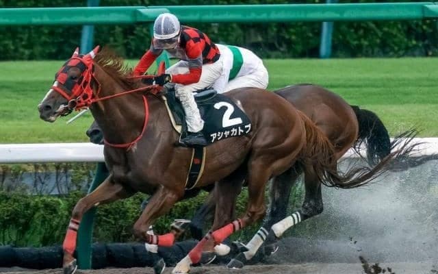 【エルムS展望】叩き2走目アシャカトブの変わり身に期待したい