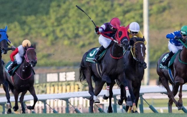 【盛岡・若鮎賞】最低人気の未勝利馬ユウユウププリエが初芝で一変…菅原辰「ベストな選択だった」