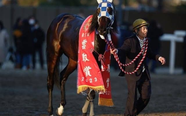 2走連続でミックファイアの2着 世代屈指の実力馬ヒーローコールが古馬撃破へ/サンタアニタT注目馬