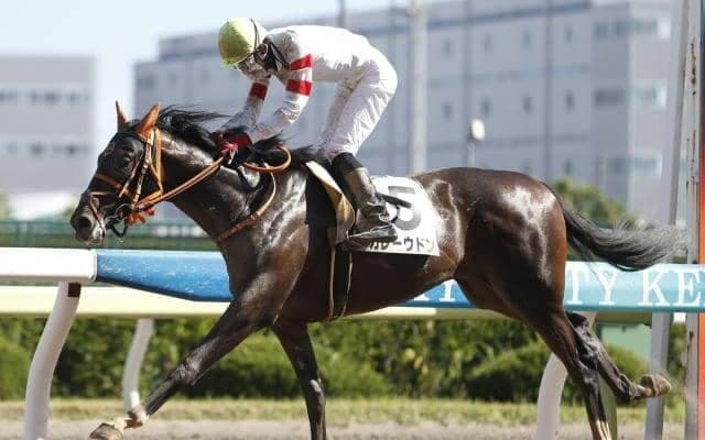 カレーうどんの日に大井の“カレーウドン”が初勝利