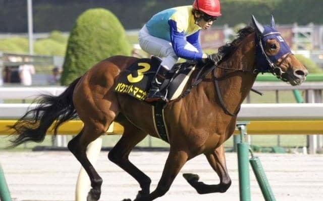 19年には10人気でV レパードSは田辺騎手の激走に期待