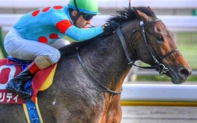 日本を代表する名牝系の良血馬 1年4カ月ぶりとなる実戦は初ダートのエルムS