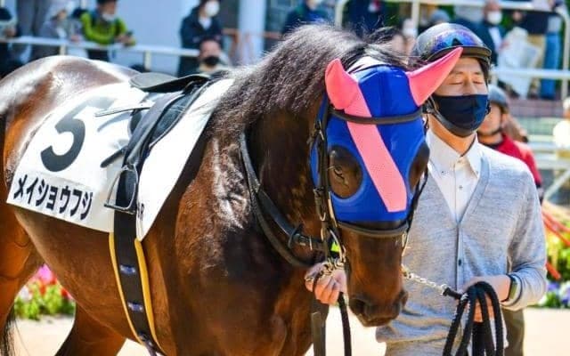 タルマエ産駒の父仔制覇なるか レパードSにメイショウフジなど