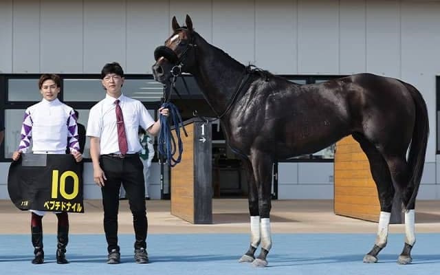 デビュー7年目富田暁騎手がJRA重賞初制覇へ 連勝中ペプチドナイルとのコンビでエルムS参戦