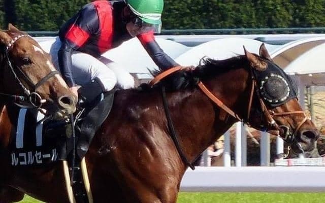 【エルムS】伯父は砂王ゴールドアリュール “砂の良血”が2年ぶり2回目の重賞挑戦