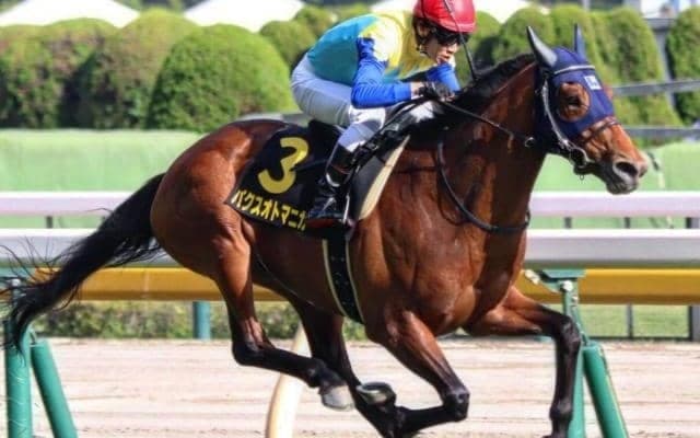 ダービー13着のパクスオトマニカ レパードS勝利のカギは初ダート