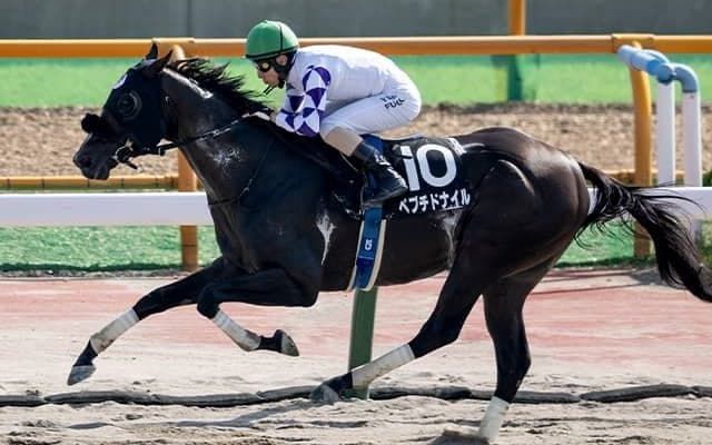 ペプチドナイルに立ちはだかる“北海道ダート3冠”の壁 エルムSでジンクス打破＆重賞初Vなるか 