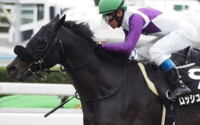 道悪馬場なら軽視禁物 雨予報のエルムSはロッシュローブに要注意