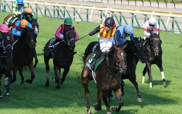 【アイビスSD】石川裕紀人、代打騎乗で見事な差し切り炸裂…オールアットワンスが1年の休養明けV