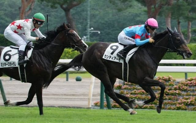 【新馬/新潟5R】エピファネイア産駒 カンティアーモがデビューV…4.5億円ホースは4着敗退