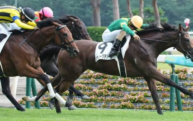 【新馬/新潟6R】ナサニエル産駒 ロアノークテソーロがデビューV