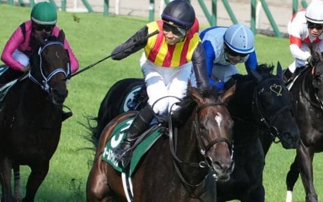 【アイビスSD】石川「どこでも行ける手応え」オールアットワンスが1年振り出走でV