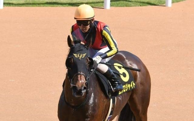 【レパードS枠順確定】ミスティックロアは5枠9番、エクロジャイトは7枠13番