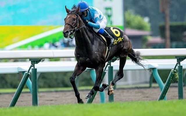 【札幌日経オープン結果】距離延長でブローザホーンが6馬身差の圧勝！