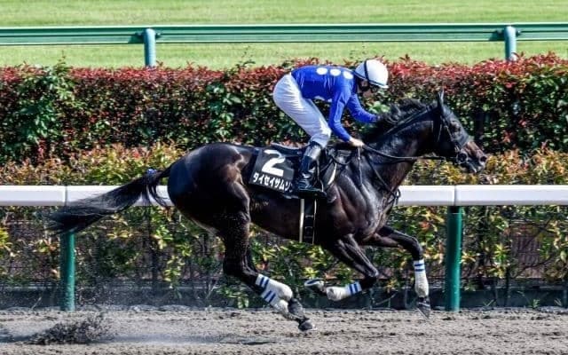 主役は近年好調のマリーンS組！ 結果を大きく左右する前走の経験