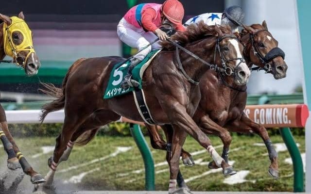 【エルムS予想】東京実績が重要!? 札幌ダート1700mで狙える「有力候補3頭」