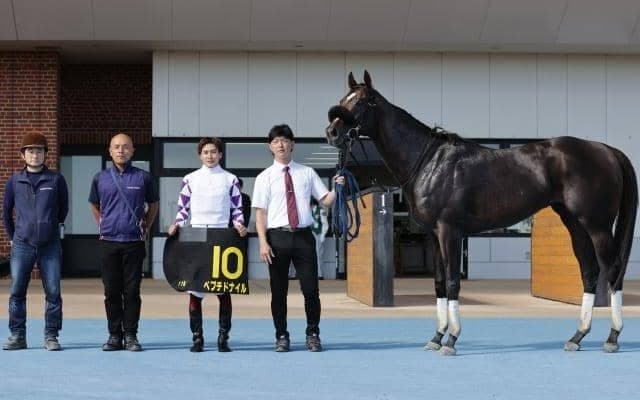 【エルムS前日オッズ】ペプチドナイルが3.2倍で1番人気