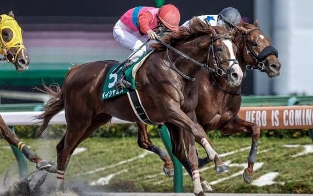 【エルムS予想】真夏のダート王決定戦 前走マリーンS組は無視できないが…