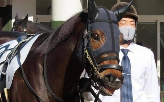 【驀進特別予想】“二度あることは三度ある”？ 初芝のアジアノジュンシンに期待かける