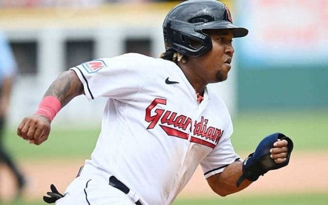 【MLB】ファイティングポーズからの壮絶殴り合い…　球場騒然の乱闘勃発、6人退場の混沌